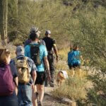 Person, Human, Footwear, Clothing, Shoe, Apparel, outdoors, Pet, Canine, Mammal, Dog, Animal, Backpack, Bag, hiking